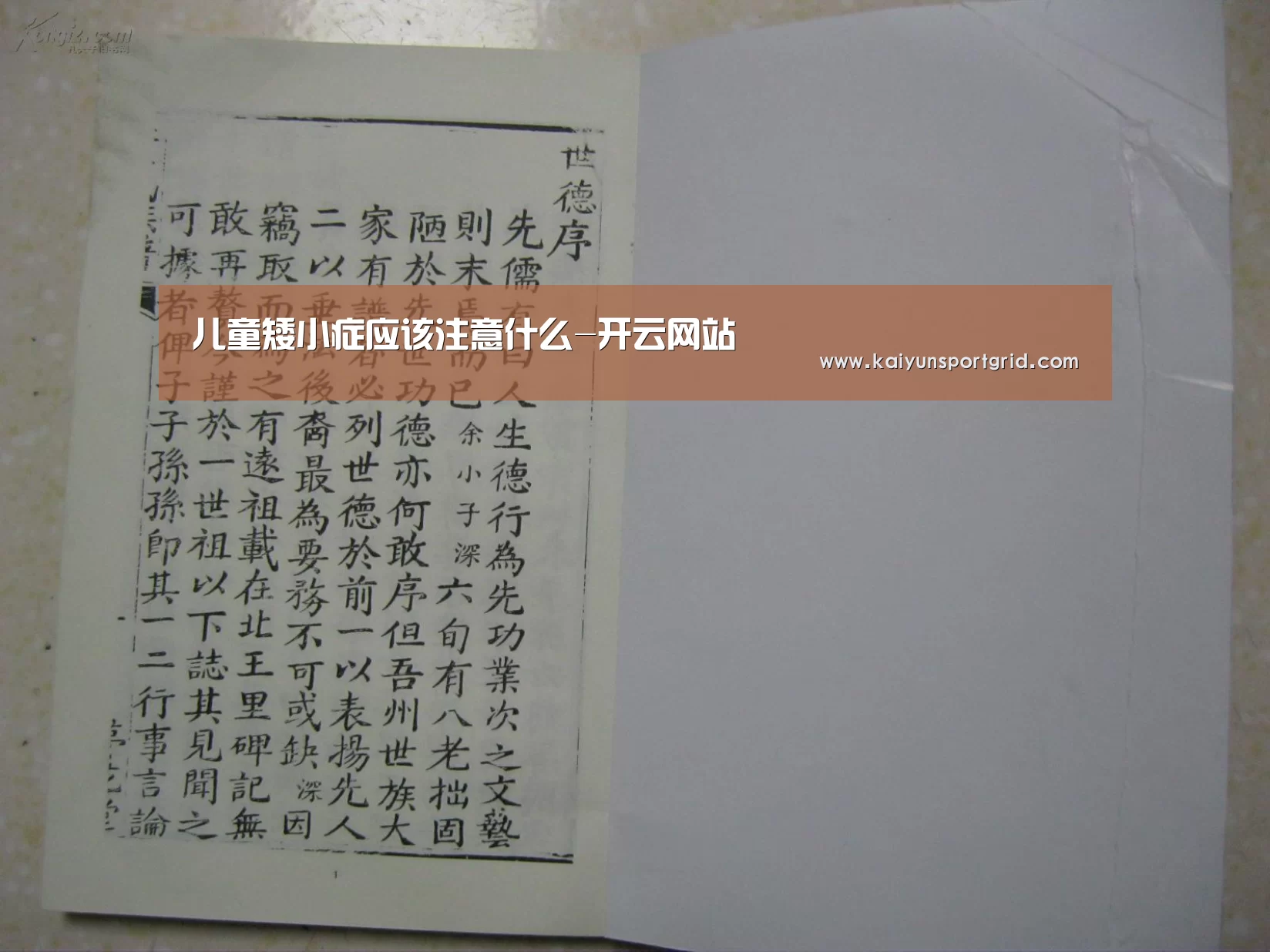 开云赛事