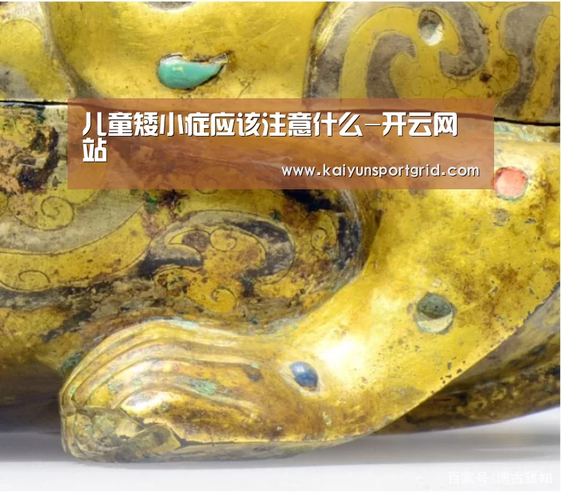 儿童矮小症应该注意什么-开云网站