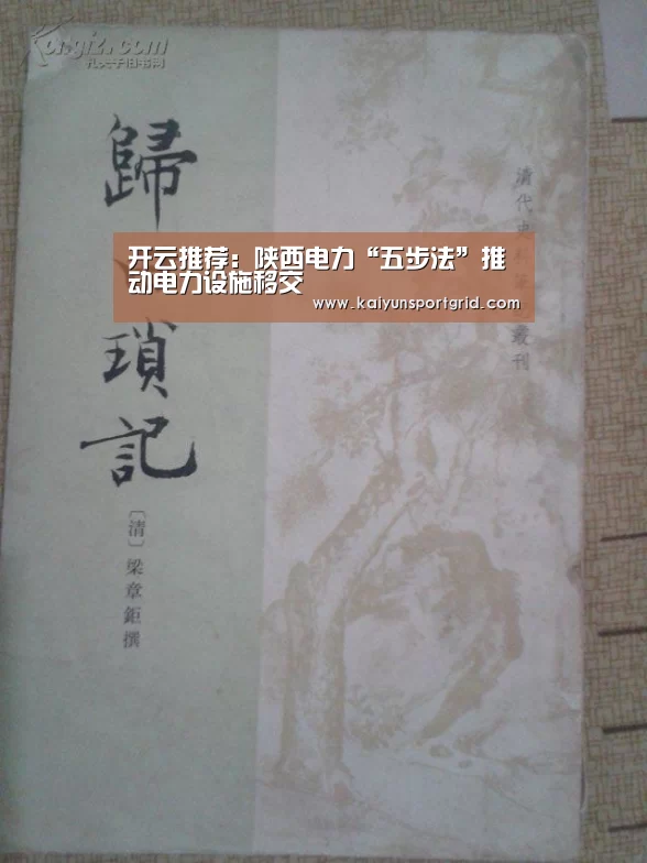 开云推荐:陕西电力“五步法”推动电力设施移交(图3) 开云推荐