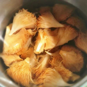 开云网站