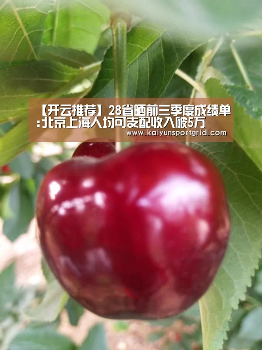 【开云推荐】28省晒前三季度成绩单:北京上海人均可支配收入破