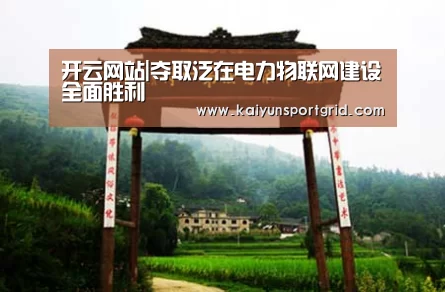 开云网站|夺取泛在电力物联网建设全面胜利